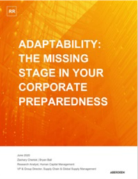 AdaptabilityTheMissingStageinYourCorporatePreparedness.png