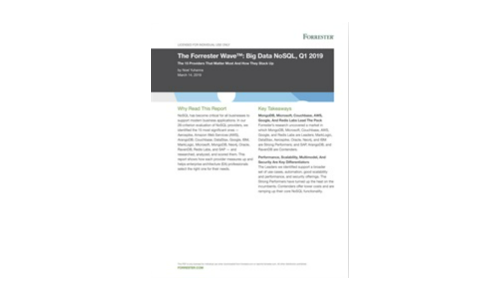 Forrester Wave™：ビッグデータNoSQL